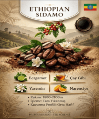 Ethiopian Sidamo Grade 1